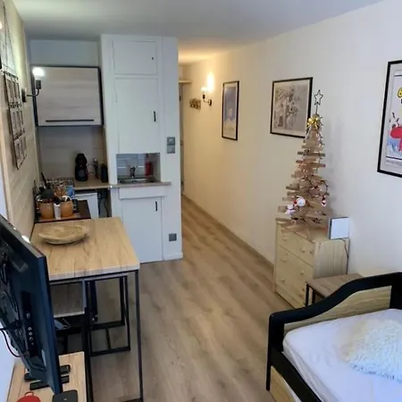 Chez Greg Les 2 Alpes Appartamento