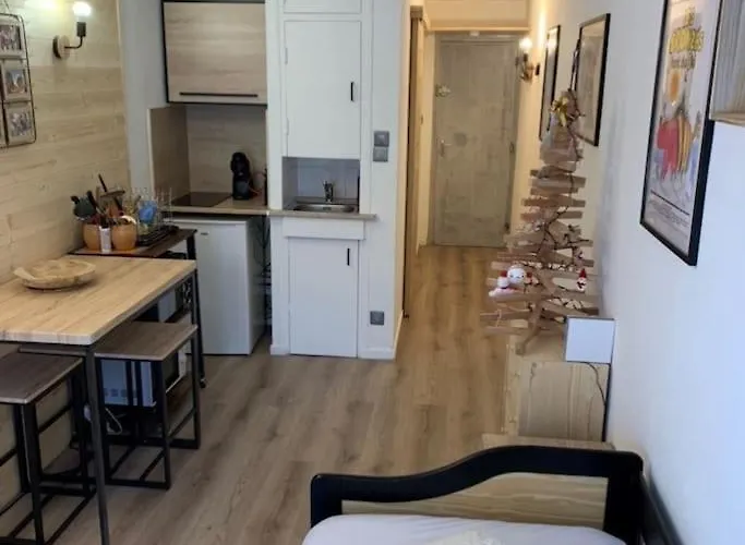 Apartament Chez Greg Les 2 Alpes Les Deux Alpes