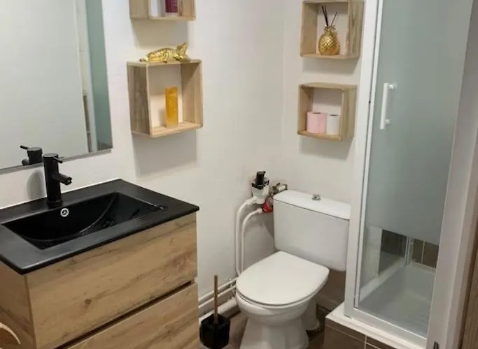 Apartament Chez Greg Les 2 Alpes *