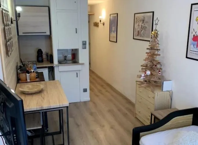 Chez Greg Les 2 Alpes Apartament